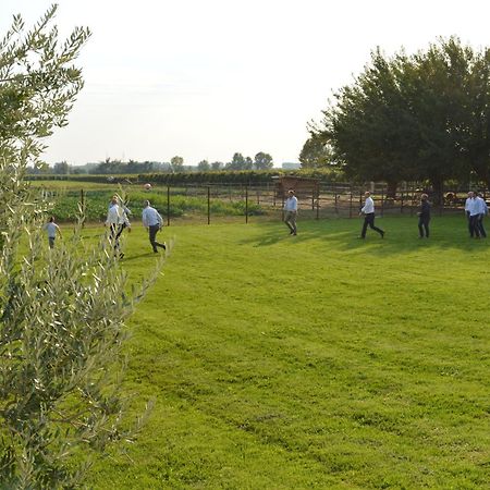 Agriturismo Al Casale Lonigo Exterior photo