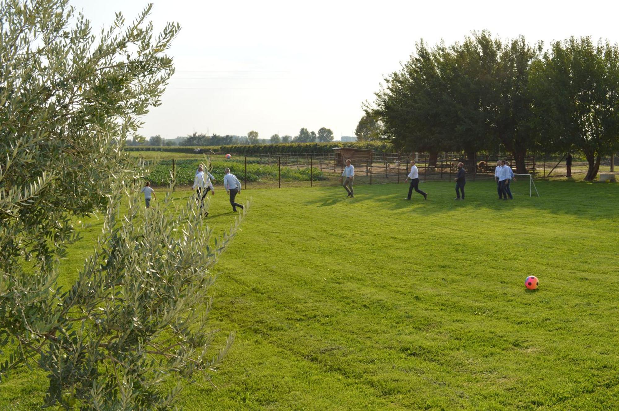 Agriturismo Al Casale Lonigo Exterior photo